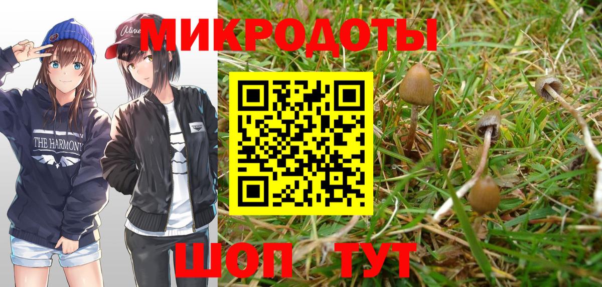 Ухта  Галлюциногенные грибы Psilocybe  Вход с VPN 